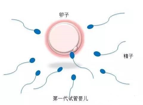 陈主任
